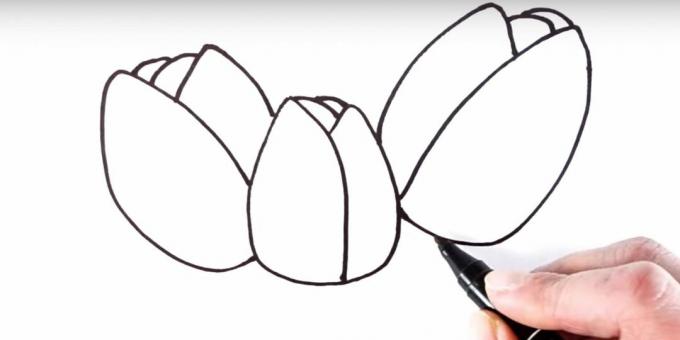 Comment dessiner une tulipe: ajouter des pétales en arrière