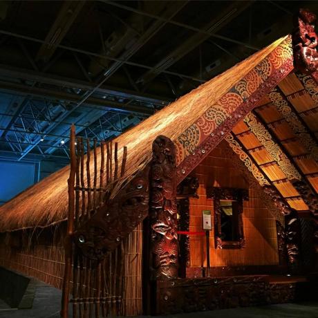 Musée de la Nouvelle-Zélande (Te Papa Tongarewa)