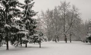 A propos de courir par temps froid et le choix des chaussures