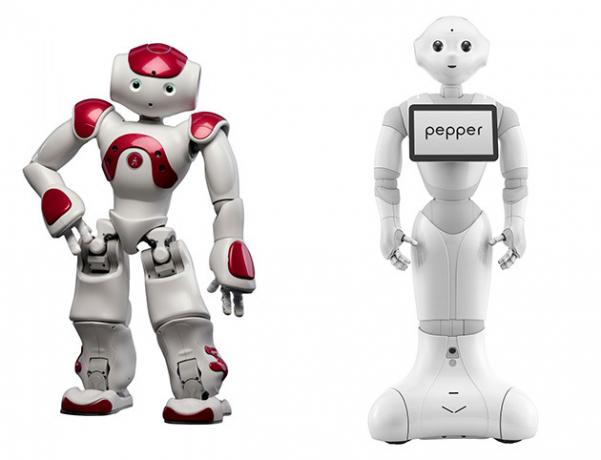 Les robots humanoïdes NAO et poivre