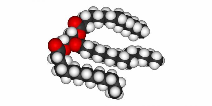 Graisses: le modèle des triglycérides