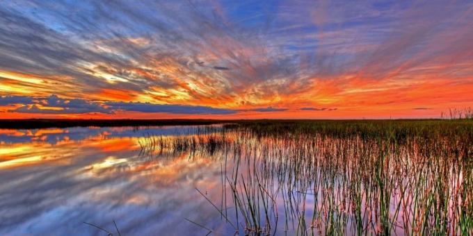 Parc national des Everglades, États-Unis