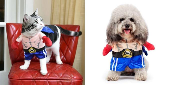costumes de Noël pour les chiens et les chats: boxeur