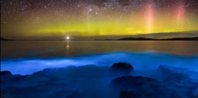 Étonnamment bel endroit: les eaux bioluminescentes au large des côtes de la Tasmanie