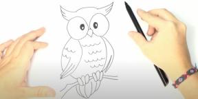 Comment dessiner un hibou: 21 façons faciles