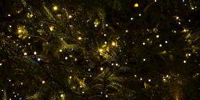 6 traditions de Noël qui nous sont venus du paganisme