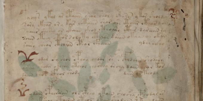Les mystères de l'histoire: le manuscrit de Voynich