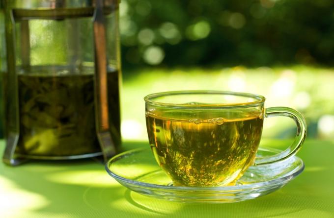 Les habitudes qui vous aideront à perdre du poids: boire du thé vert