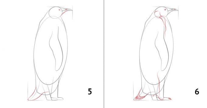Comment dessiner un pingouin