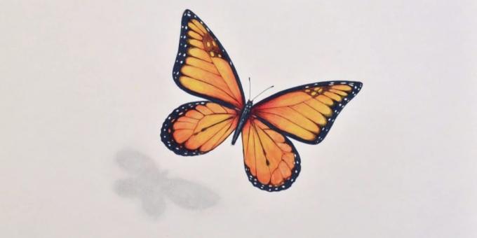 Comment dessiner un papillon marqueurs réalistes et crayons de couleur