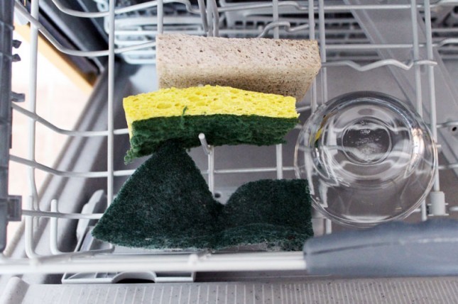 Comment utiliser un lave-vaisselle: une éponge de lavage