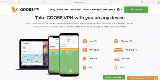 Comment puis-je utiliser Netflix en Russie: Set application VPN Goose du téléchargement et allumez-le