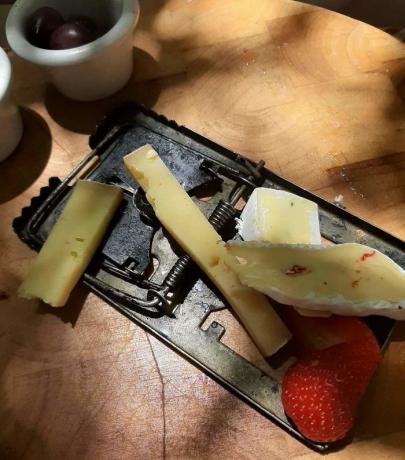 servir le fromage dans une souricière