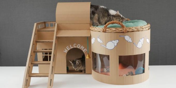 Comment faire une maison à deux étages pour le sortir du chat de la boîte avec leurs mains