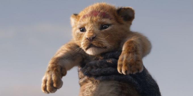 « Le Roi Lion »: un petit Simba