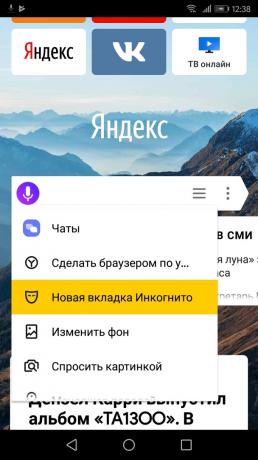 Comment activer le mode de navigation privée « Yandex. navigateur "