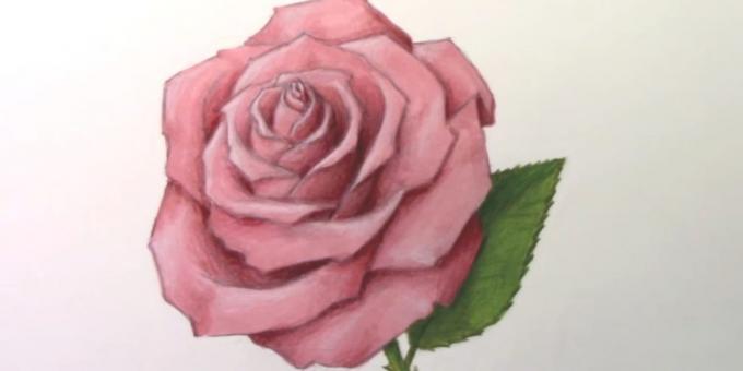 Comment dessiner une rose des marqueurs divulgués et crayons de couleur