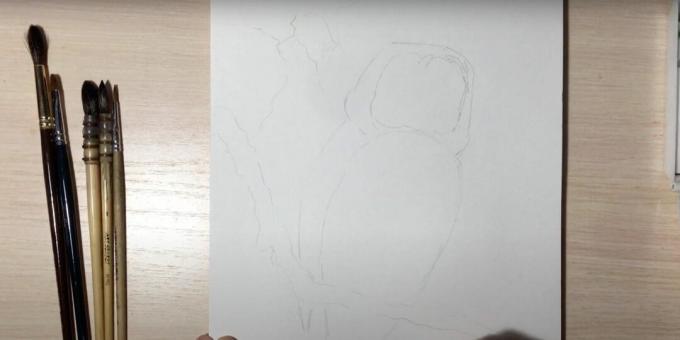 Comment dessiner un hibou: décrivez la branche et le corps d'un hibou