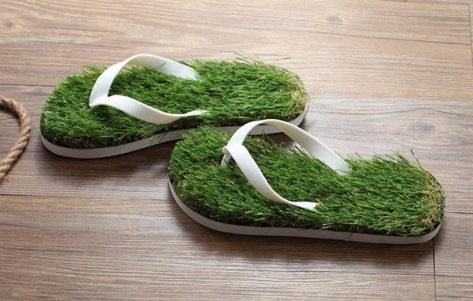 Cadeaux uniques pour la nouvelle année: Sneaker avec de l'herbe
