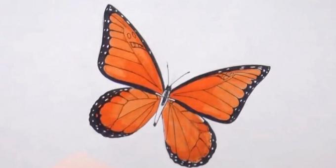 Encerclez le torse et Diversifier motif papillon sur les ailes