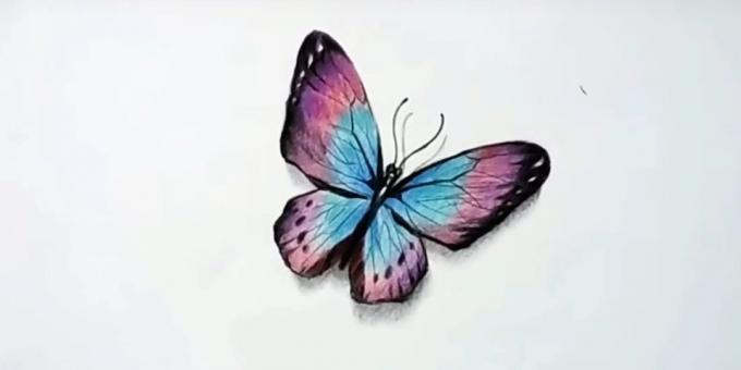 Comment dessiner un papillon crayons de couleur réaliste