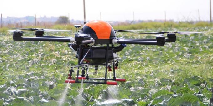Drone aide les plantes de grossissement