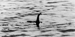 Les scientifiques ont parlé du Loch Ness ADN monstre