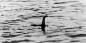Les scientifiques ont parlé du Loch Ness ADN monstre