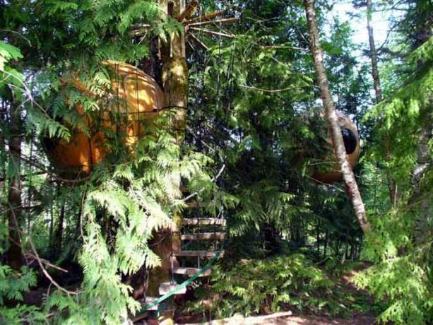 Cabane dans un arbre, qui peut être réservé