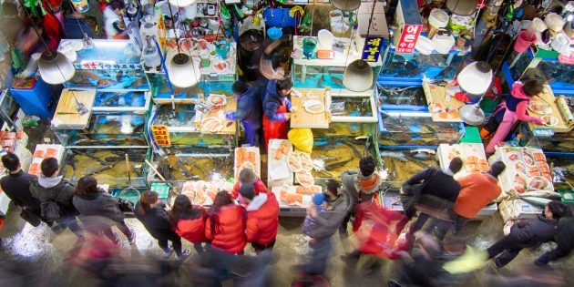 Attractions Corée du Sud: il est nécessaire de visiter le marché aux poissons