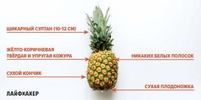 Comment choisir un ananas mûr