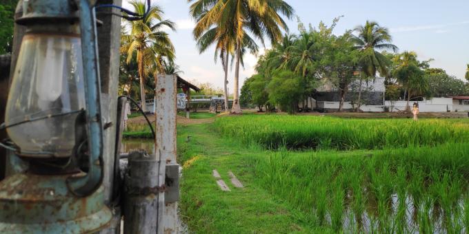 Monuments de Langkawi: Musée de la culture du riz Laman Padi